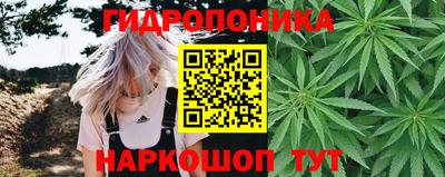 МДПВ Ярославль