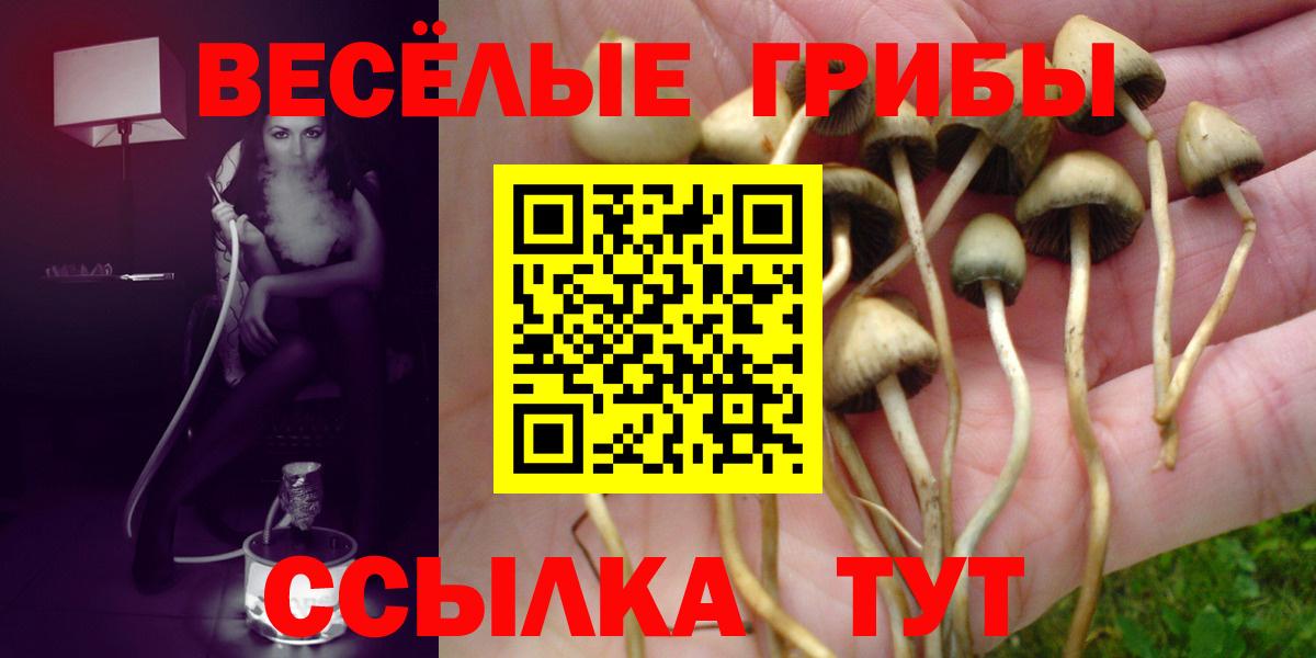 Псилоцибиновые грибы мицелий Лангепас